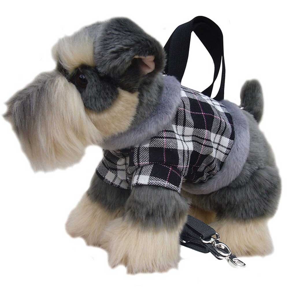 Miniature sales schnauzer clothes