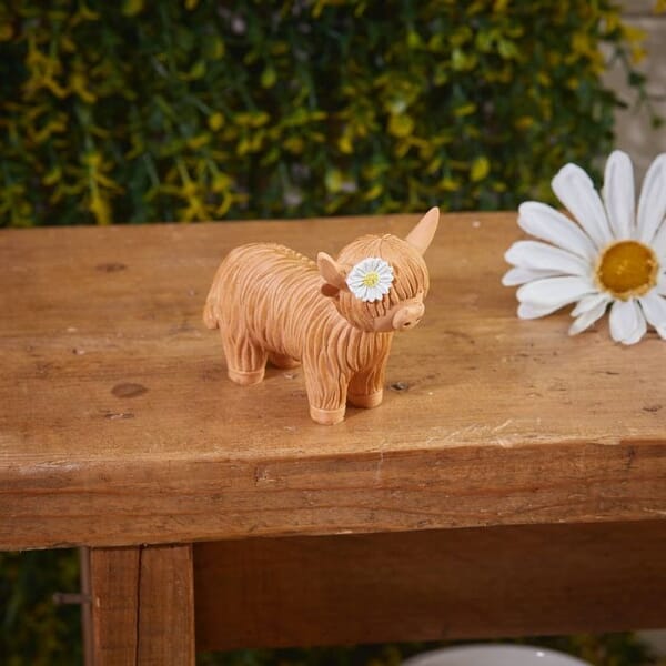 Lang's Highland Cow with Daisy