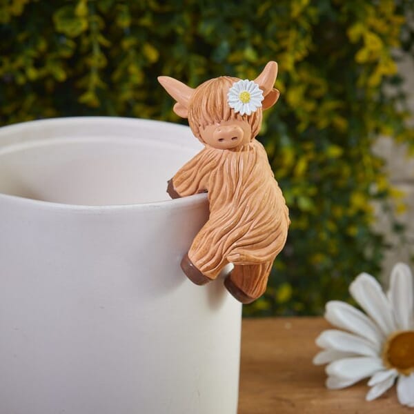 Lang's Highland Cow with Daisy Plant Pot Hugger