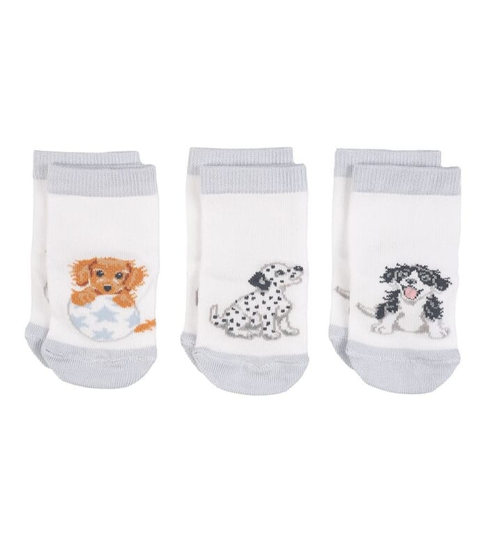 Wrendale 'Little Paws' Baby Socks Set 0-6M