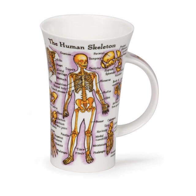 dunoon human body glencoe mug
