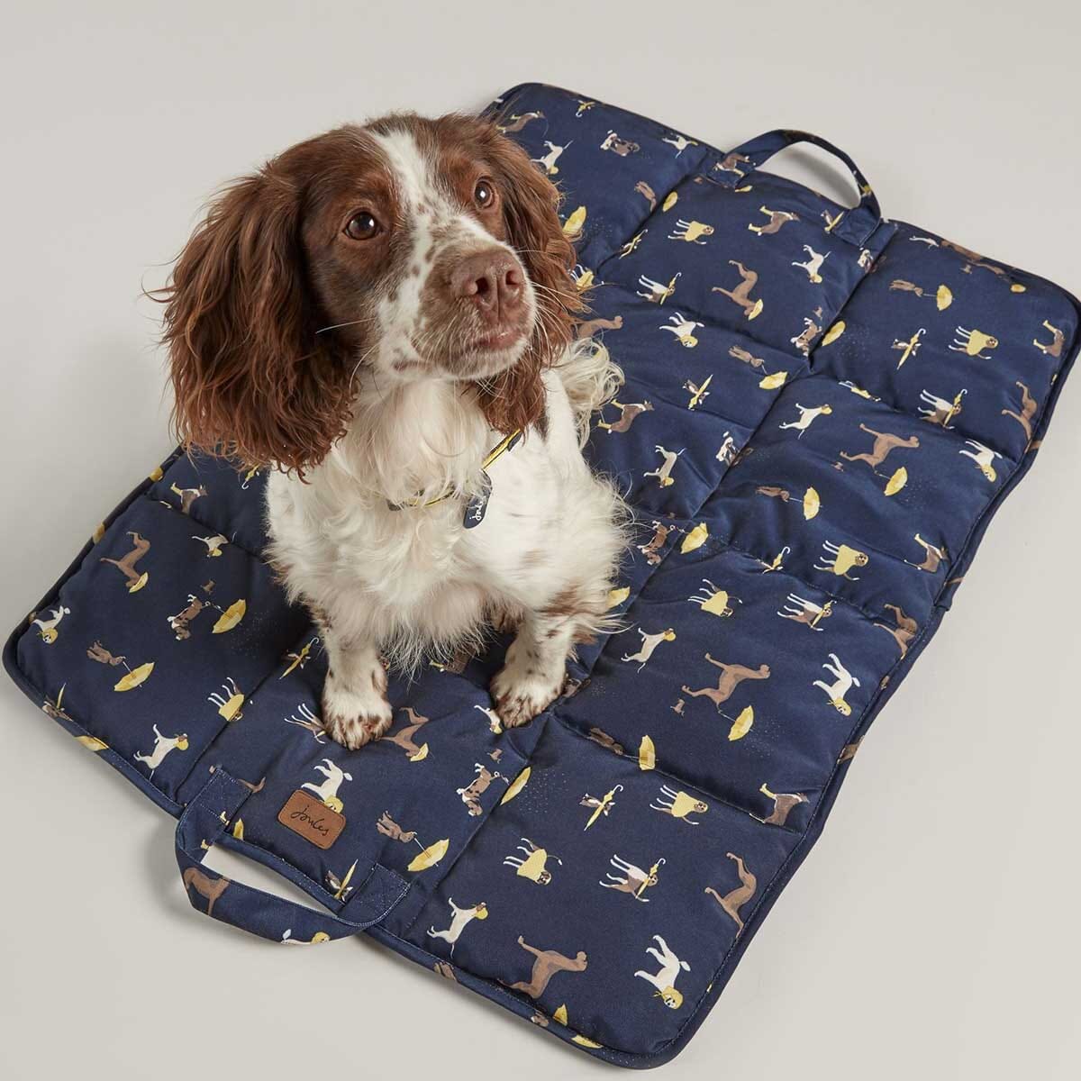 Pet 2024 travel mat